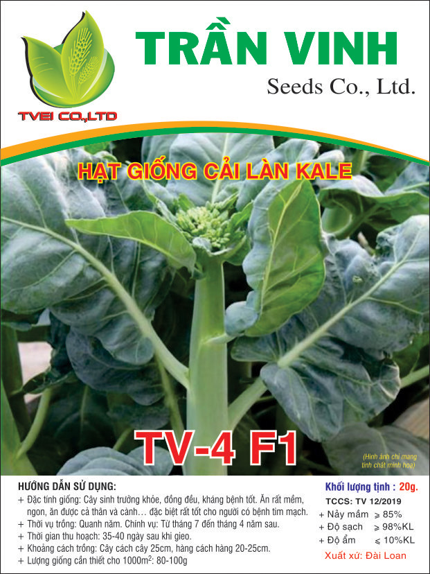 Hạt giống Cải Làn Kale TV-4 F1