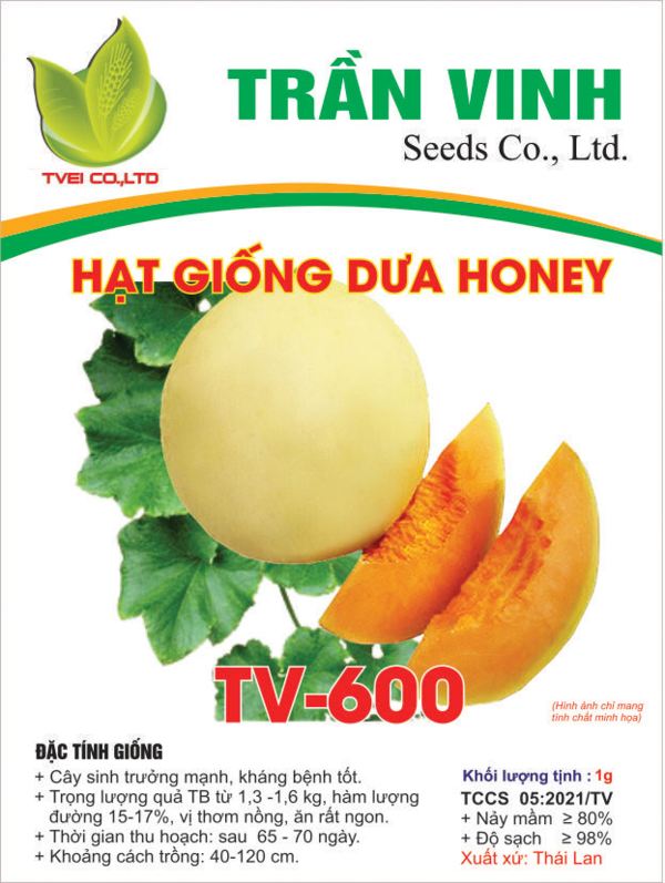 Hạt giống Dưa Honey - TV600